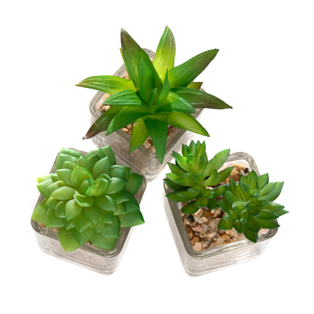 artificial succulents in glass containers K-Cliffs