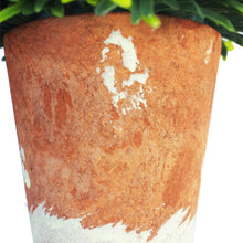 Load image into Gallery viewer, Artificial Foliage Grass in Rustic Pot Realistic Faux Lush Green Plant Fake Greenery Potted Pulp for Home Office Restaurant Decor