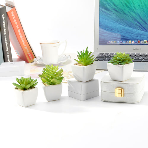 Set of 4 Artificial Succulent Plants in White Ceramic Pots - Low Maintenance Décor for Home & Office