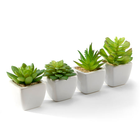 Set of 4 Artificial Succulent Plants in White Ceramic Pots - Low Maintenance Décor for Home & Office