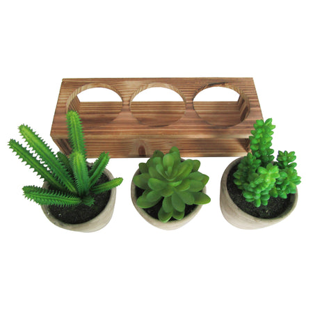 Rustic Style Artificial Succulent Plants with Removable Wood Display Stand – Indoor/Outdoor Décor