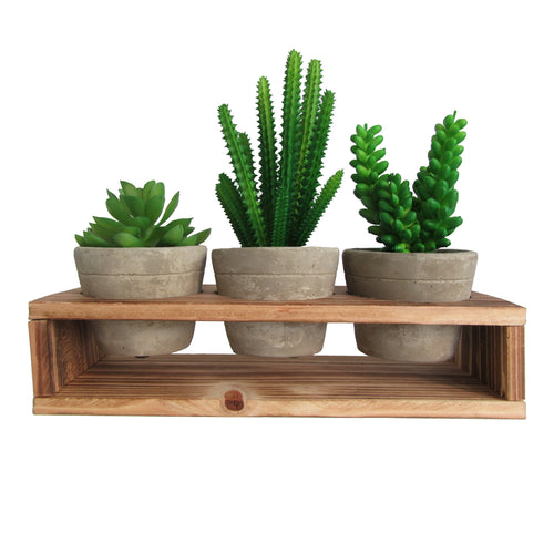 Rustic Style Artificial Succulent Plants with Removable Wood Display Stand – Indoor/Outdoor Décor