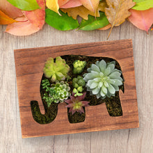 Load image into Gallery viewer, K-Cliffs Wooden Succulents Elephant Wall Frame Art/Key Holder