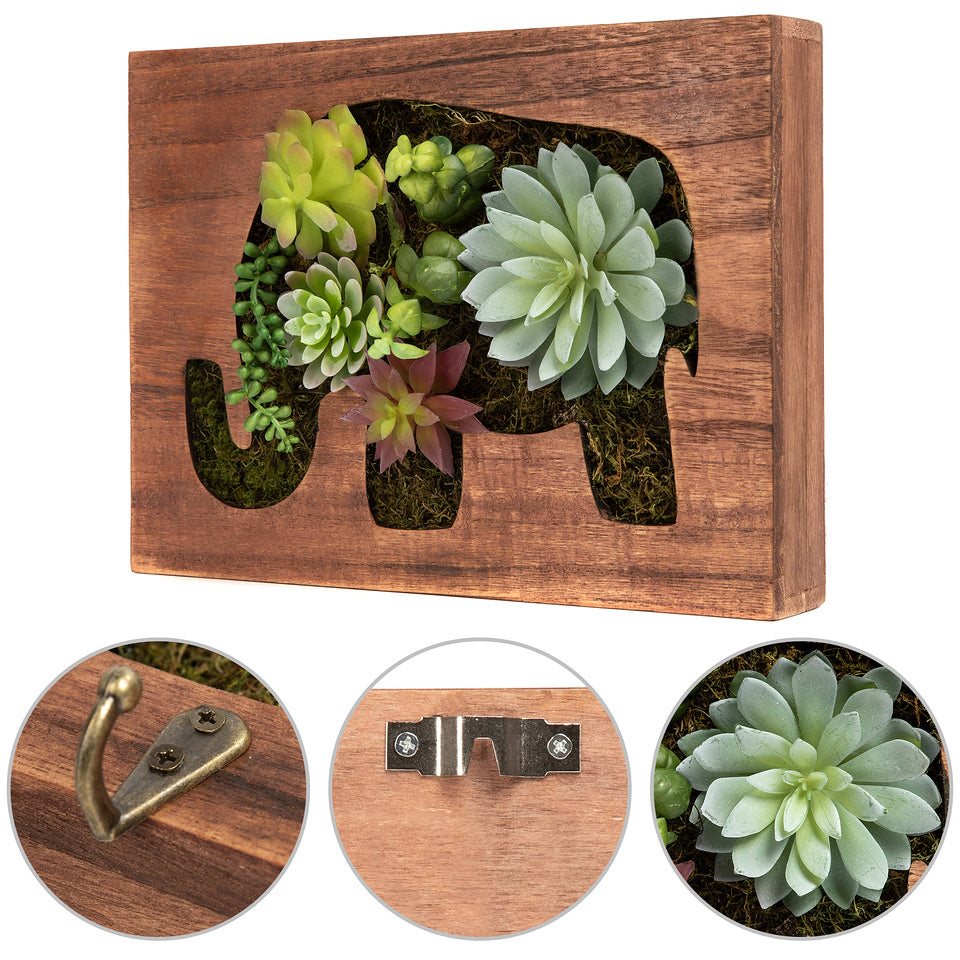 wall succulent holder K-Cliffs