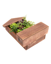 Load image into Gallery viewer, K-Cliffs Wooden House Shape Frame Design with 3 Key Hooks, 3D Faux Plants