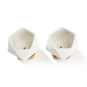 K-Cliffs Set of 2 White Diamond Shape Ceramic Succulent Plant Pot with Bamboo Tray,