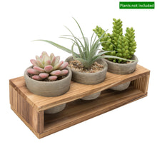 Load image into Gallery viewer, K-Cliffs Set of 3 Mini Gray Cement Pots with Wood Display Stand for Succulents
