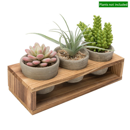 K-Cliffs Set of 3 Mini Gray Cement Pots with Wood Display Stand for Succulents