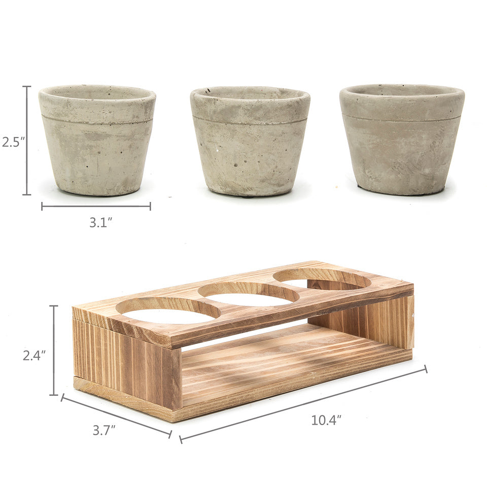 K-Cliffs Set of 3 Mini Gray Cement Pots with Wood Display Stand for Succulents