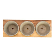 Load image into Gallery viewer, K-Cliffs Set of 3 Mini Gray Cement Pots with Wood Display Stand for Succulents