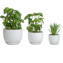 Load image into Gallery viewer, Golf Ball-Inspired White Round Ceramic Planters with Drainage Hole and Attached Saucers, Small to Medium Sized, Set of 3
