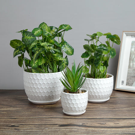 Set of 3 Golf Ball-Inspired White Round Ceramic Planters with Drainage Hole w/Attached Saucers, SML Sized