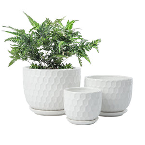 Golf Ball-Inspired White Round Ceramic Planters with Drainage Hole and Attached Saucers, Small to Medium Sized, Set of 3