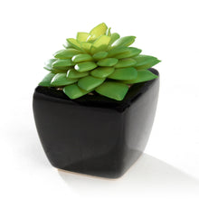 Load image into Gallery viewer, K-Cliffs Set of 4 Modern Mini Artificial Succulents Potted in Cube-Shape Black Ceramic Pots