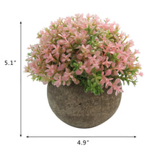Load image into Gallery viewer, K-Cliffs Mini 5-inch Life like Artificial Topiary  Planted Pot