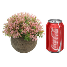 Load image into Gallery viewer, K-Cliffs Mini 5-inch Life like Artificial Topiary  Planted Pot