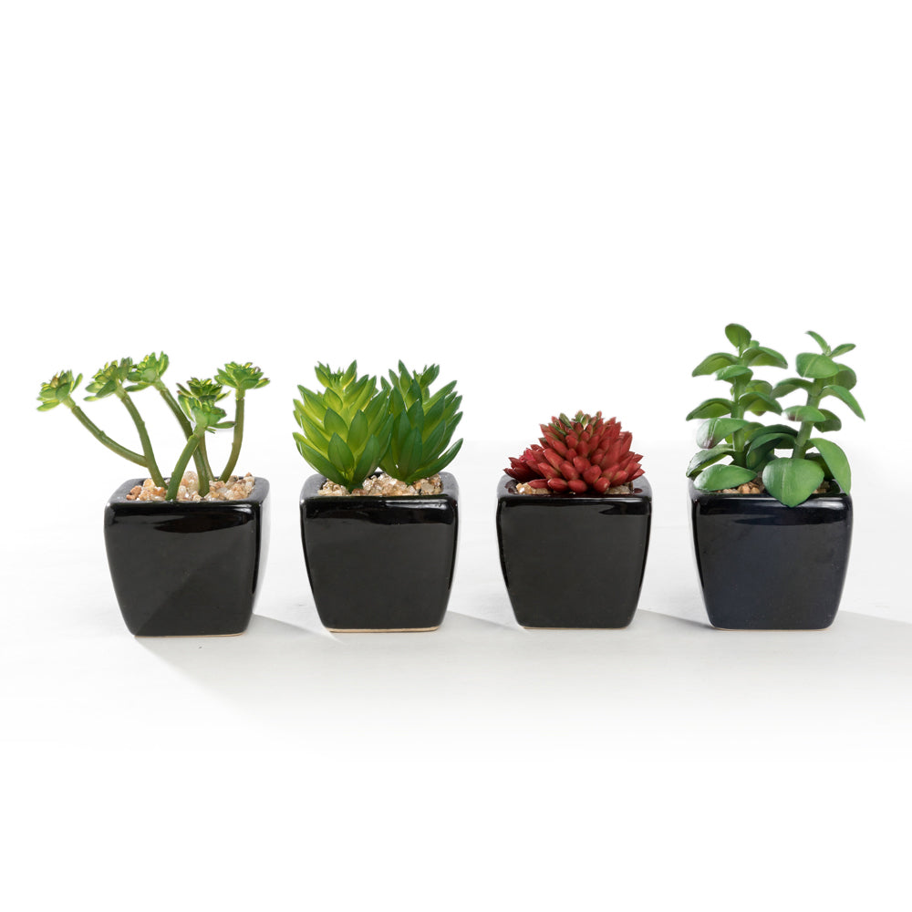 Mini K-Cliffs Artificial Succulent Green 4.3