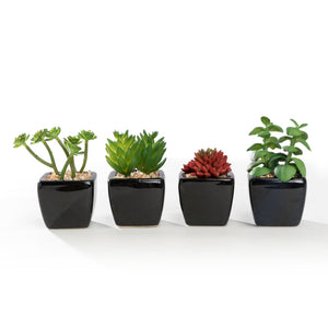 Mini K-Cliffs Artificial Succulent Green 4.3" Potted Topiary Plants in White Cube Shape Pot 4 pieces Set