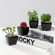Load image into Gallery viewer, Mini K-Cliffs Artificial Succulent Green 4.3&quot; Potted Topiary Plants in White Cube Shape Pot 4 pieces Set