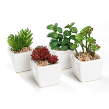 Load image into Gallery viewer, Mini K-Cliffs Artificial Succulent Green 4.3&quot; Potted Topiary Plants in White Cube Shape Pot 4 pieces Set