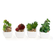 Load image into Gallery viewer, Mini K-Cliffs Artificial Succulent Green 4.3&quot; Potted Topiary Plants in White Cube Shape Pot 4 pieces Set