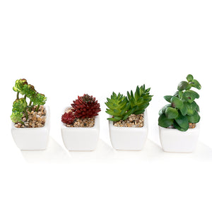 Mini K-Cliffs Artificial Succulent Green 4.3" Potted Topiary Plants in White Cube Shape Pot 4 pieces Set