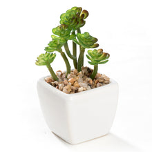 Load image into Gallery viewer, Mini K-Cliffs Artificial Succulent Green 4.3&quot; Potted Topiary Plants in White Cube Shape Pot 4 pieces Set