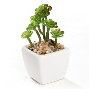 Mini K-Cliffs Artificial Succulent Green 4.3" Potted Topiary Plants in White Cube Shape Pot 4 pieces Set