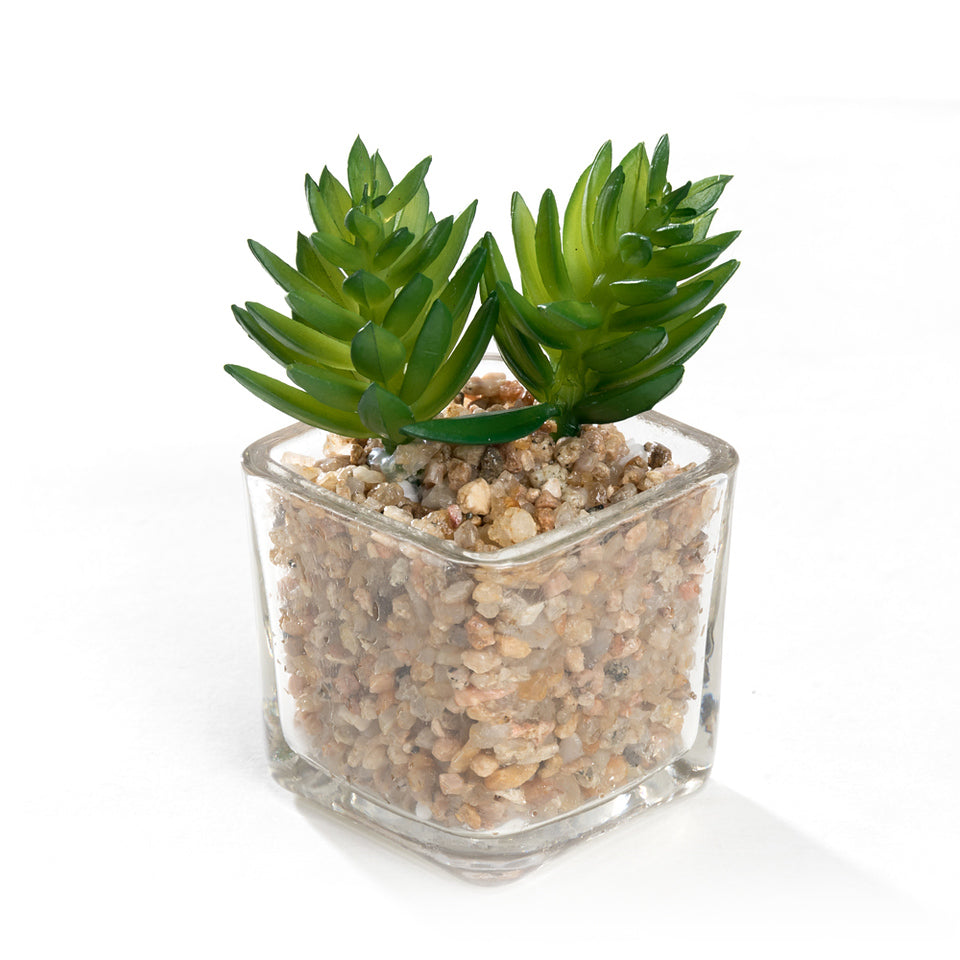 tiny faux succulents K-Cliffs