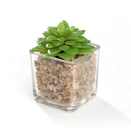 K-Cliffs Mini Artificial Succulents Potted in Modern Cube Clear Glass Pots 3pc Set