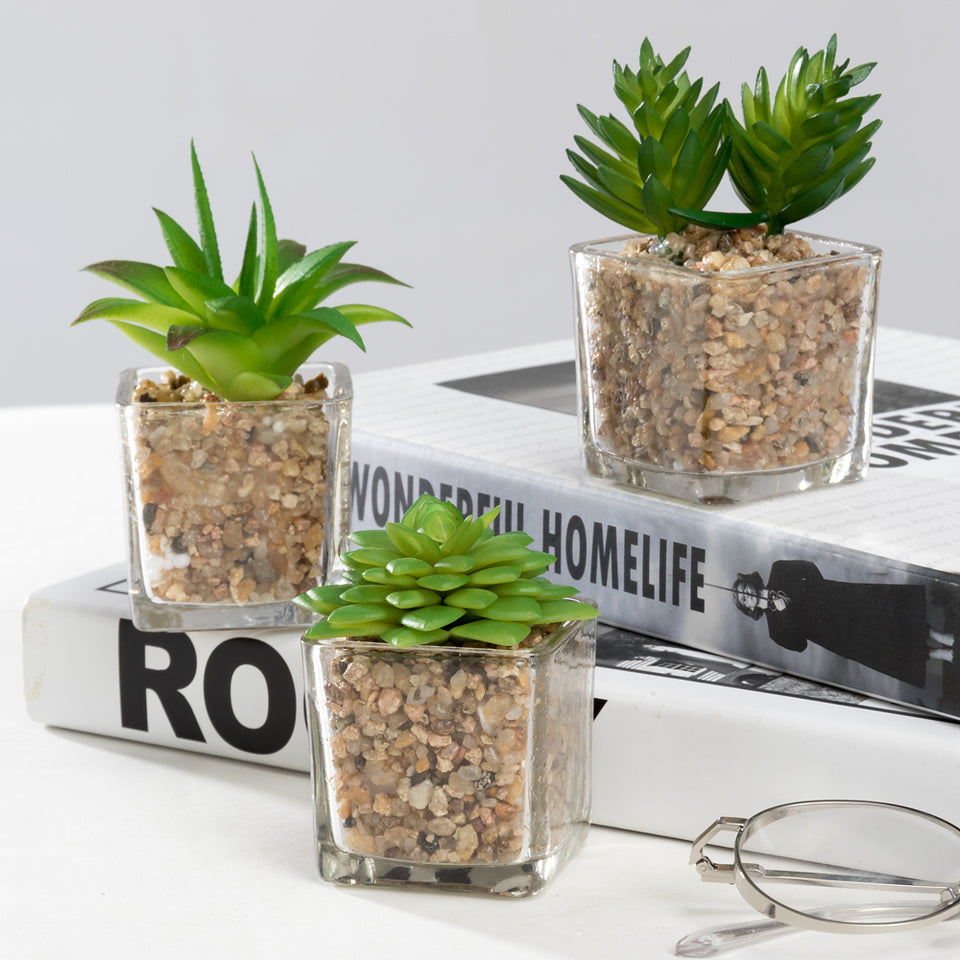 k succulents K-CLIFFS Set of 3 Artificial Succulent Plants in Glass Pots Small Fake Succulents Cacti Realistic Mini Faux Cactus for Home Office Desk Shelf Décor