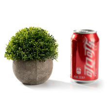 Load image into Gallery viewer, K-Cliffs Realistic Mini Ball Shape 4.7&quot; Plastic Faux Plant in Pot