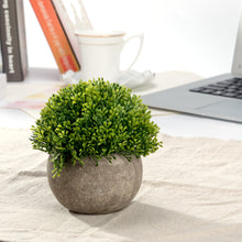 Load image into Gallery viewer, K-Cliffs Realistic Mini Ball Shape 4.7&quot; Plastic Faux Plant in Pot