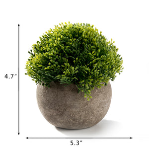 K-Cliffs Realistic Mini Ball Shape 4.7" Plastic Faux Plant in Pot