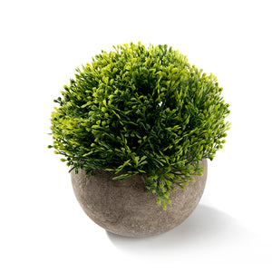 K-Cliffs Realistic Mini Ball Shape 4.7" Plastic Faux Plant in Pot