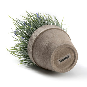 K-Cliffs Artificial Provence Lavender Purple Flowers Green Grass Plant
