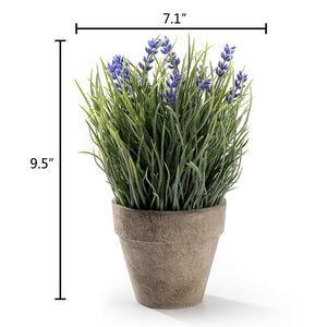 K-Cliffs Artificial Provence Lavender Purple Flowers Green Grass Plant