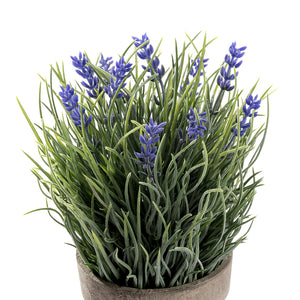 K-Cliffs Artificial Provence Lavender Purple Flowers Green Grass Plant