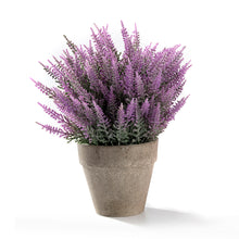 Load image into Gallery viewer, K-Cliffs Realistic Mini Plastic Artificial Flowers Provence Lavender Arrangements in Pot