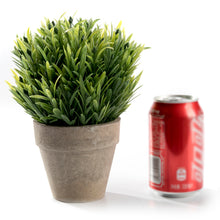 Load image into Gallery viewer, K-Cliffs Mini Realistic Faux Plant Green Grass Tabletop Arrangement with pot