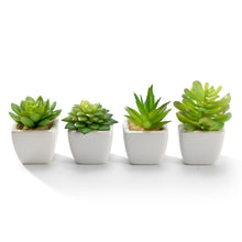 Load image into Gallery viewer, K-Cliffs Set of 4 Artificial Succulents Potted in Cube-Shape White Ceramic Pots