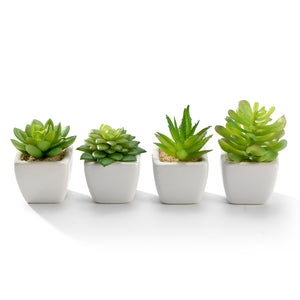 K-Cliffs Set of 4 Artificial Succulents Potted in Cube-Shape White Ceramic Pots