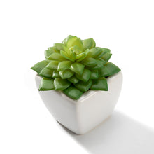 Load image into Gallery viewer, K-Cliffs Set of 4 Artificial Succulents Potted in Cube-Shape White Ceramic Pots