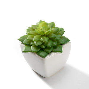 K-Cliffs Set of 4 Artificial Succulents Potted in Cube-Shape White Ceramic Pots