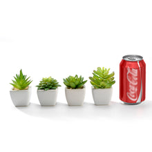 Load image into Gallery viewer, K-Cliffs Set of 4 Artificial Succulents Potted in Cube-Shape White Ceramic Pots