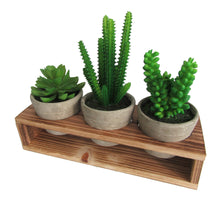 Load image into Gallery viewer, K-Cliffs Set of 3 different faux plants potted in gray pots with decorative wood display stand