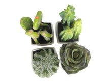 Load image into Gallery viewer, K-Cliffs Artificial Mini Succulent 3&quot; to 5&quot; Green Cactus Plants in White Ceramic Cube Shape Pot 4pcs Set