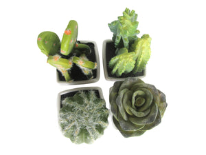 K-Cliffs Artificial Mini Succulent 3" to 5" Green Cactus Plants in White Ceramic Cube Shape Pot 4pcs Set
