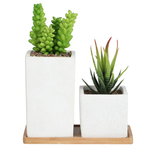 Faux Succulents in Square Shaped White Cement Pot with Saucer , Set of 2