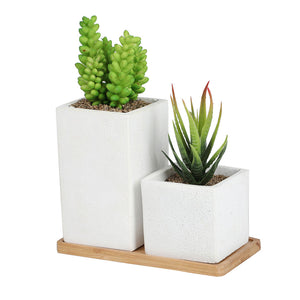 Faux Succulents in Square Shaped White Cement Pot with Saucer , Set of 2